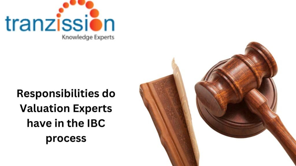 Responsibilities do Valuation Experts have in the IBC process