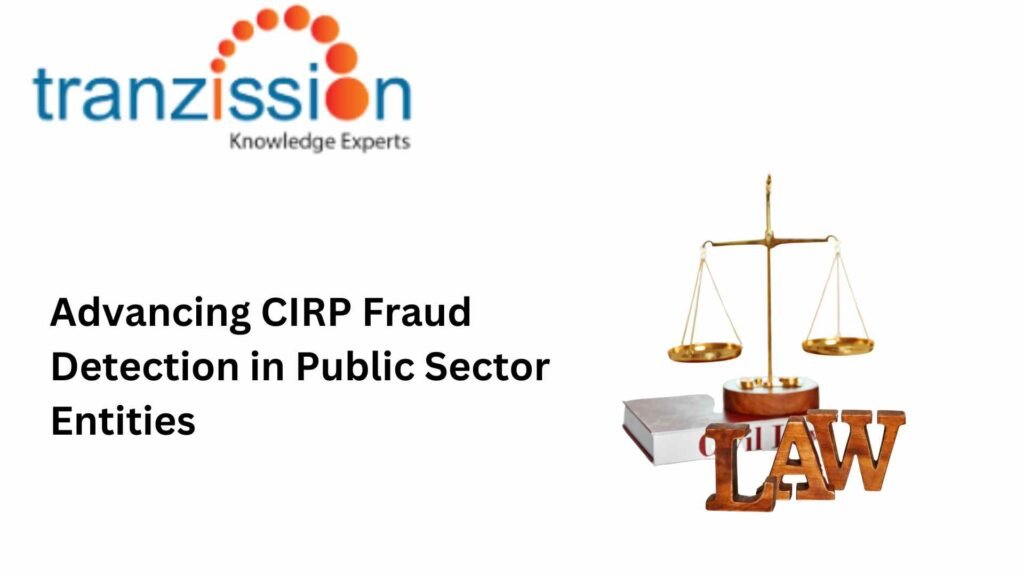 Advancing CIRP Fraud Detection in Public Sector Entities