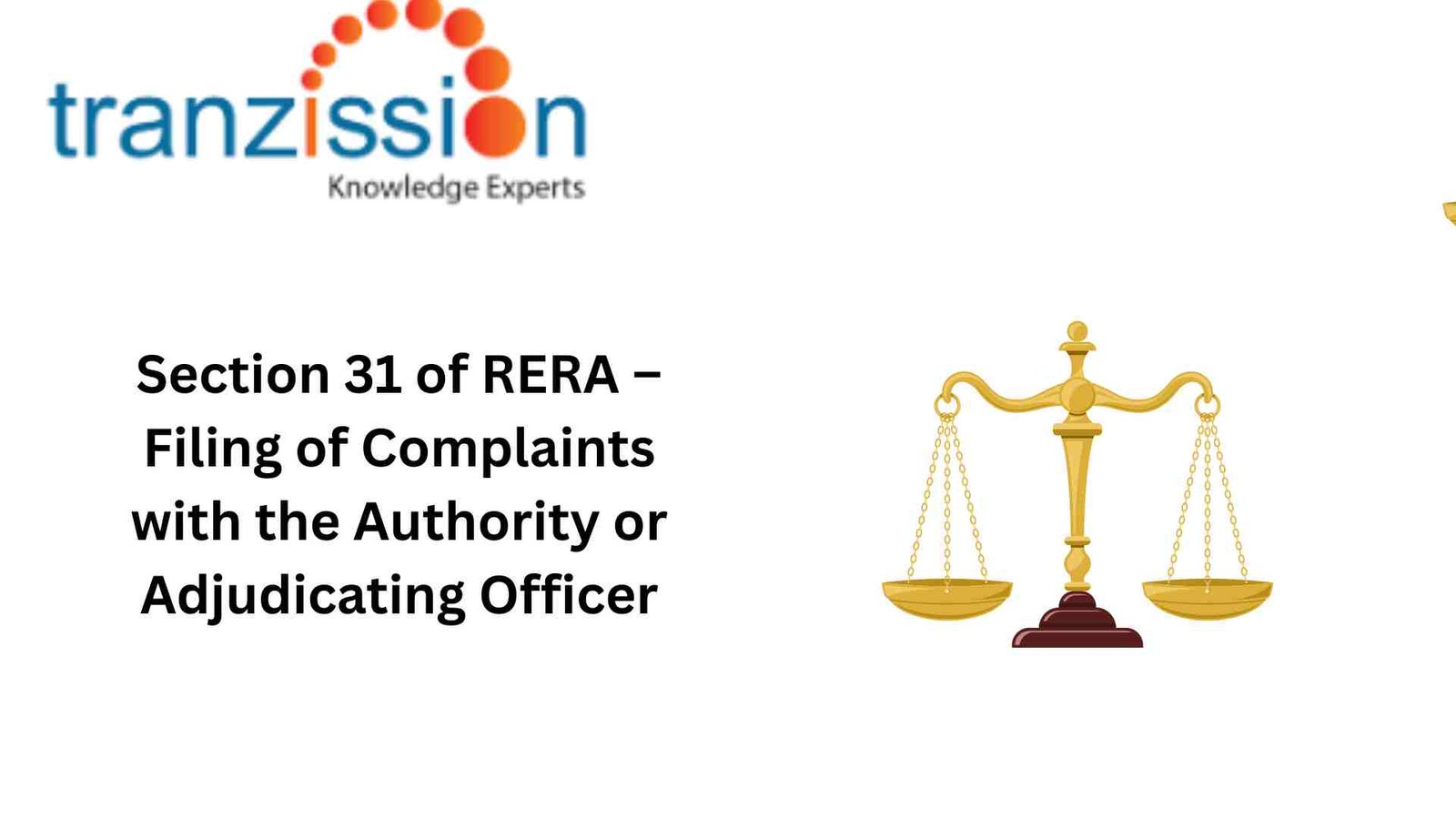 Section 31 of RERA