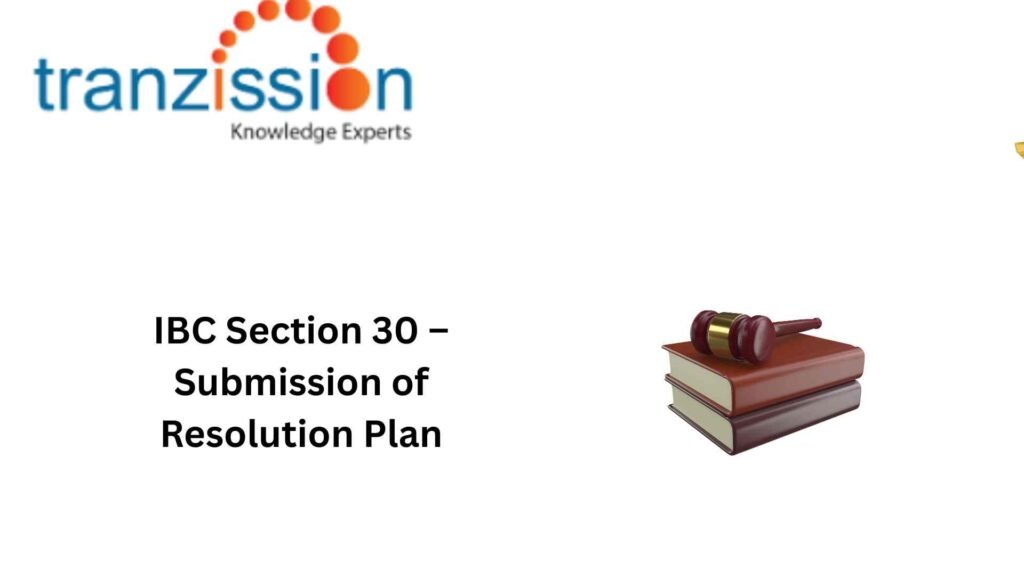 IBC Section 30 – Submission of Resolution Plan