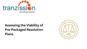 Assessing the Viability of Pre-Packaged Resolution Plans