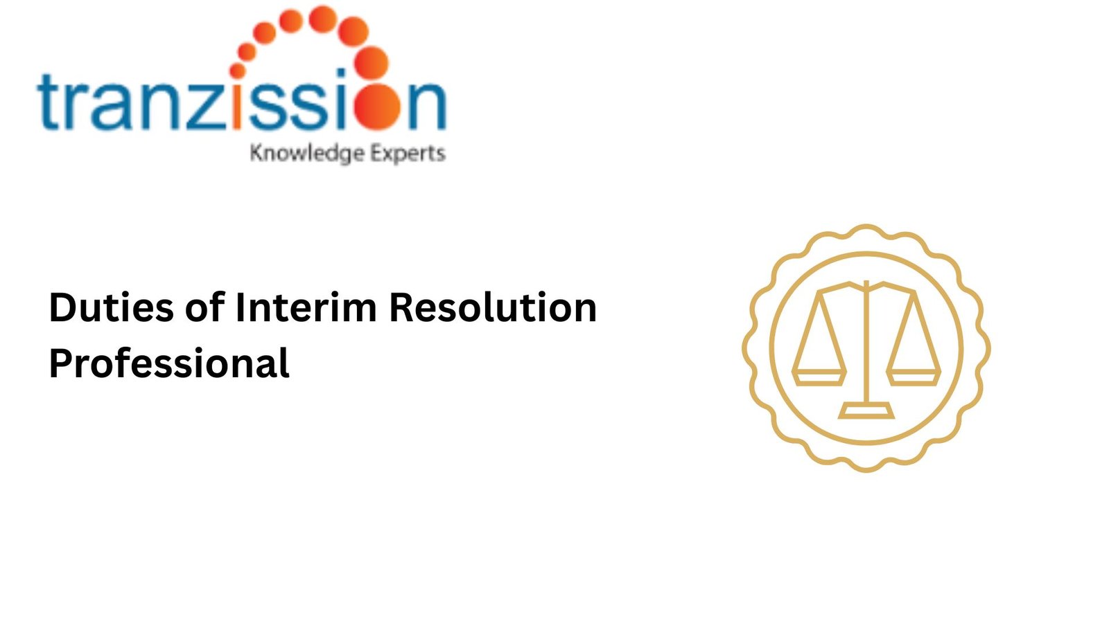 Duties of Interim Resolution Professional